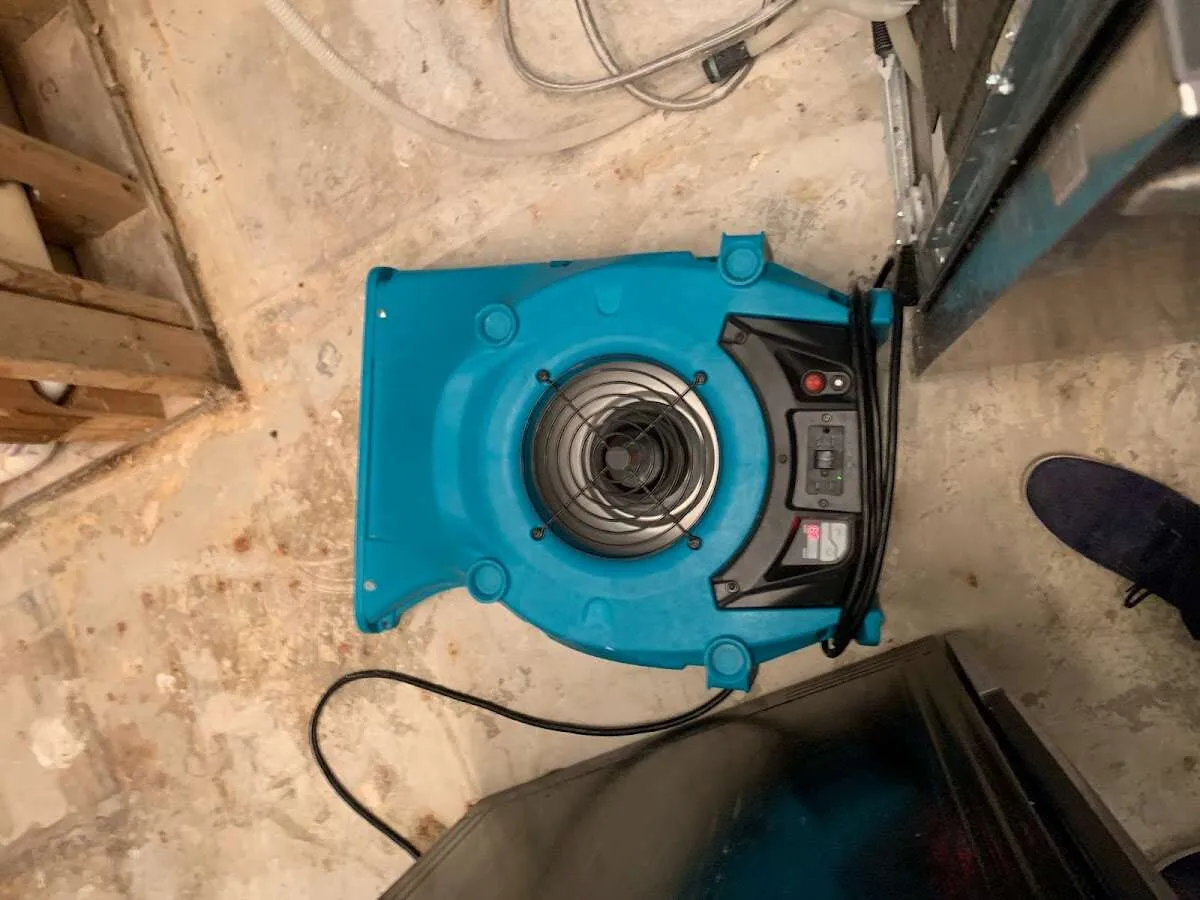 Air mover drying equipment for Mold Remediation & Removal in Wooster